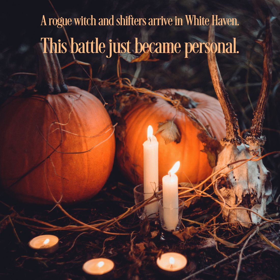 All Hallows' Magic, Halloween, Samhain paranormal mysteries and witch fiction.