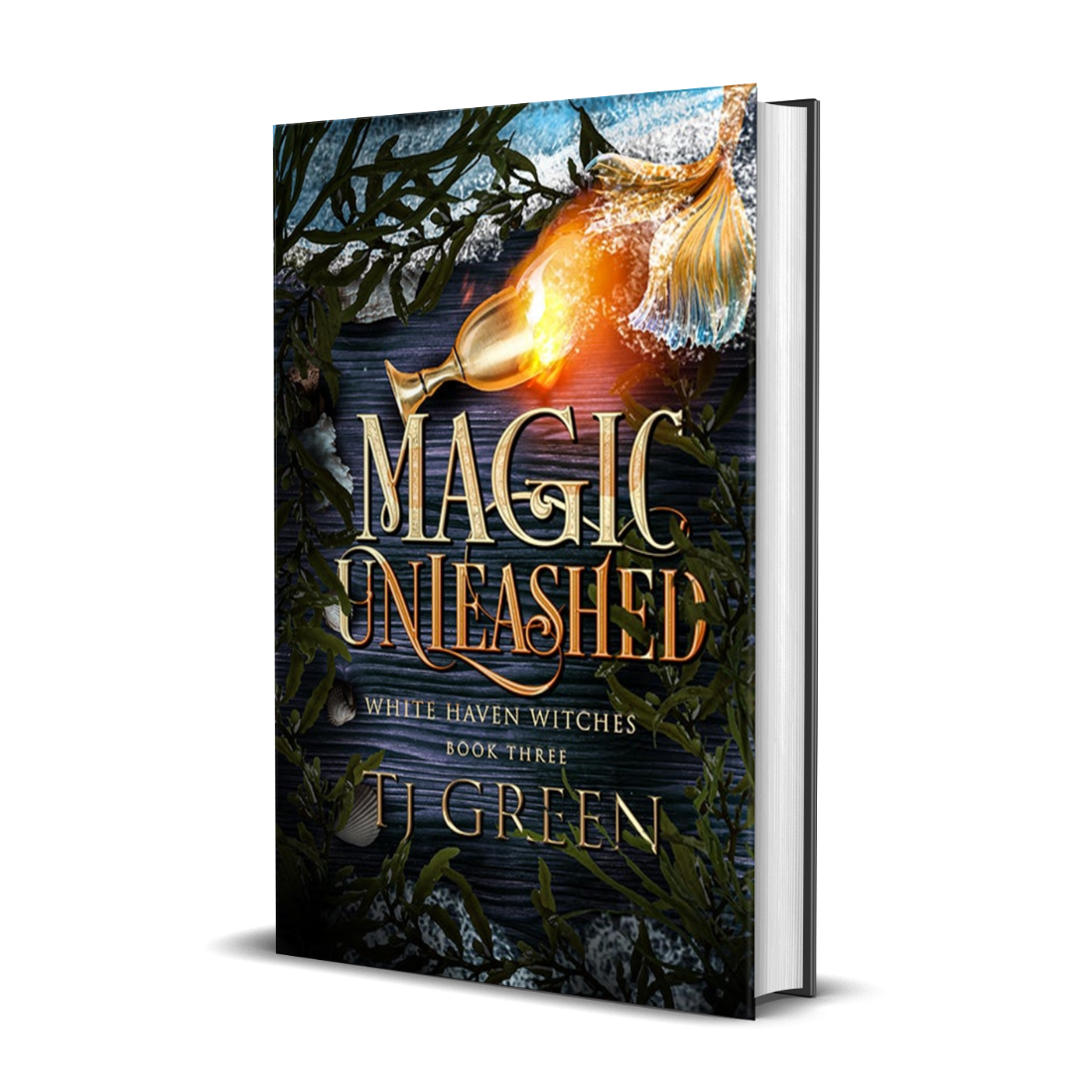 Magic Unleashed, paranormal mystery, supernatural suspense, urban fantasy, witchcraft, hardback