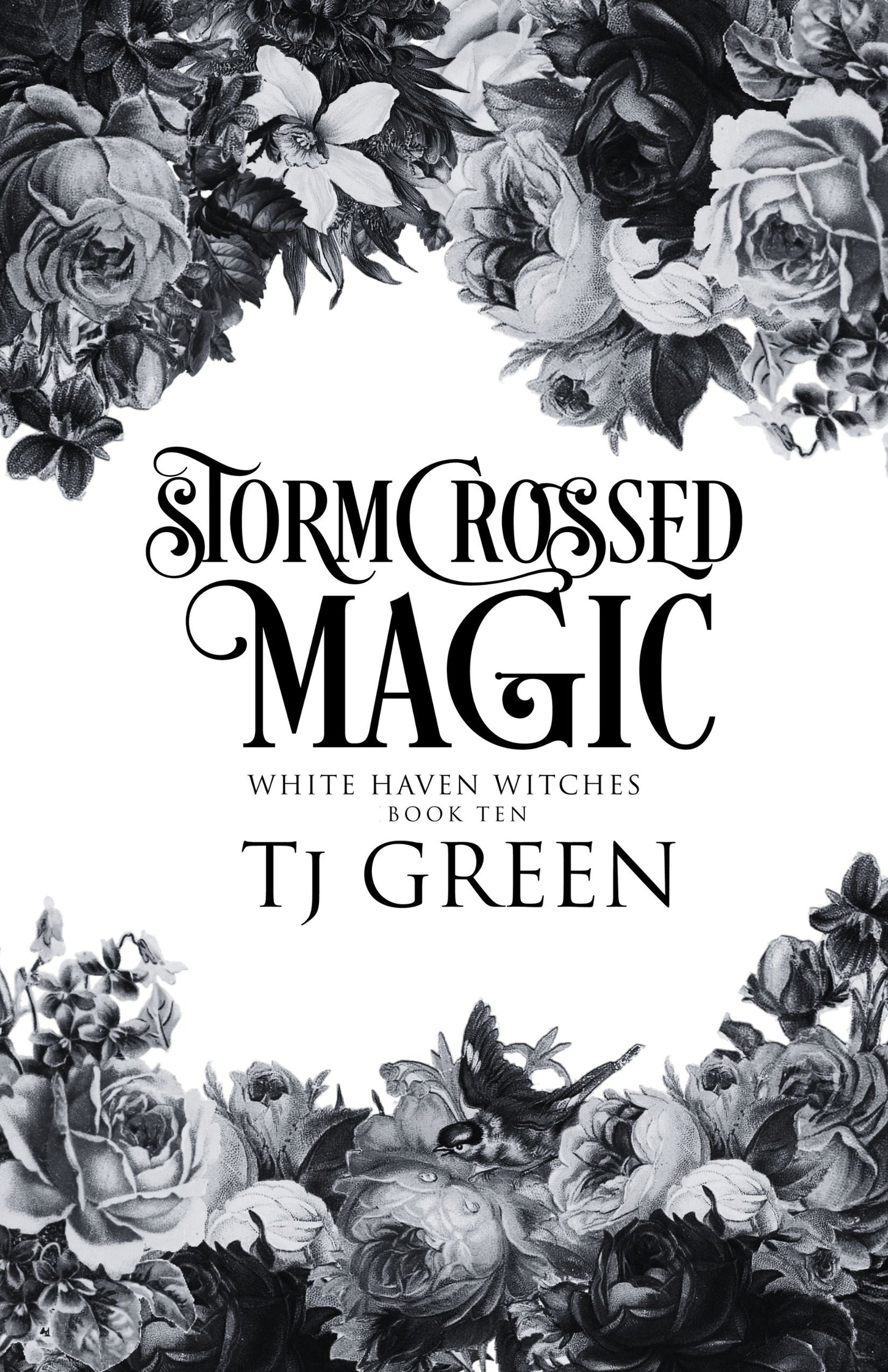 stormcrossed magic whw 10 paranormal mystery urban fantasy