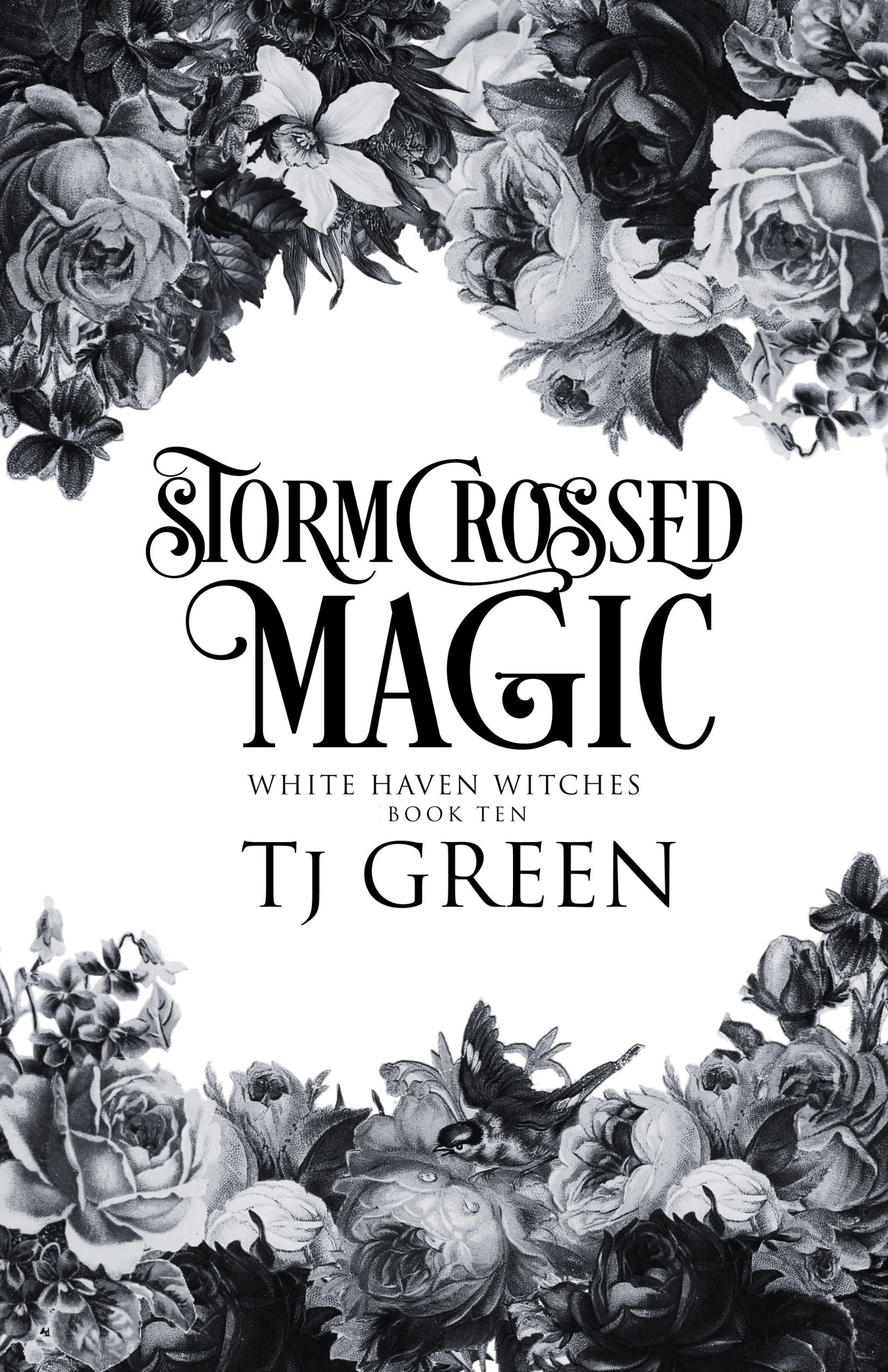 stormcrossed magic whw 10 paranormal mystery urban fantasy