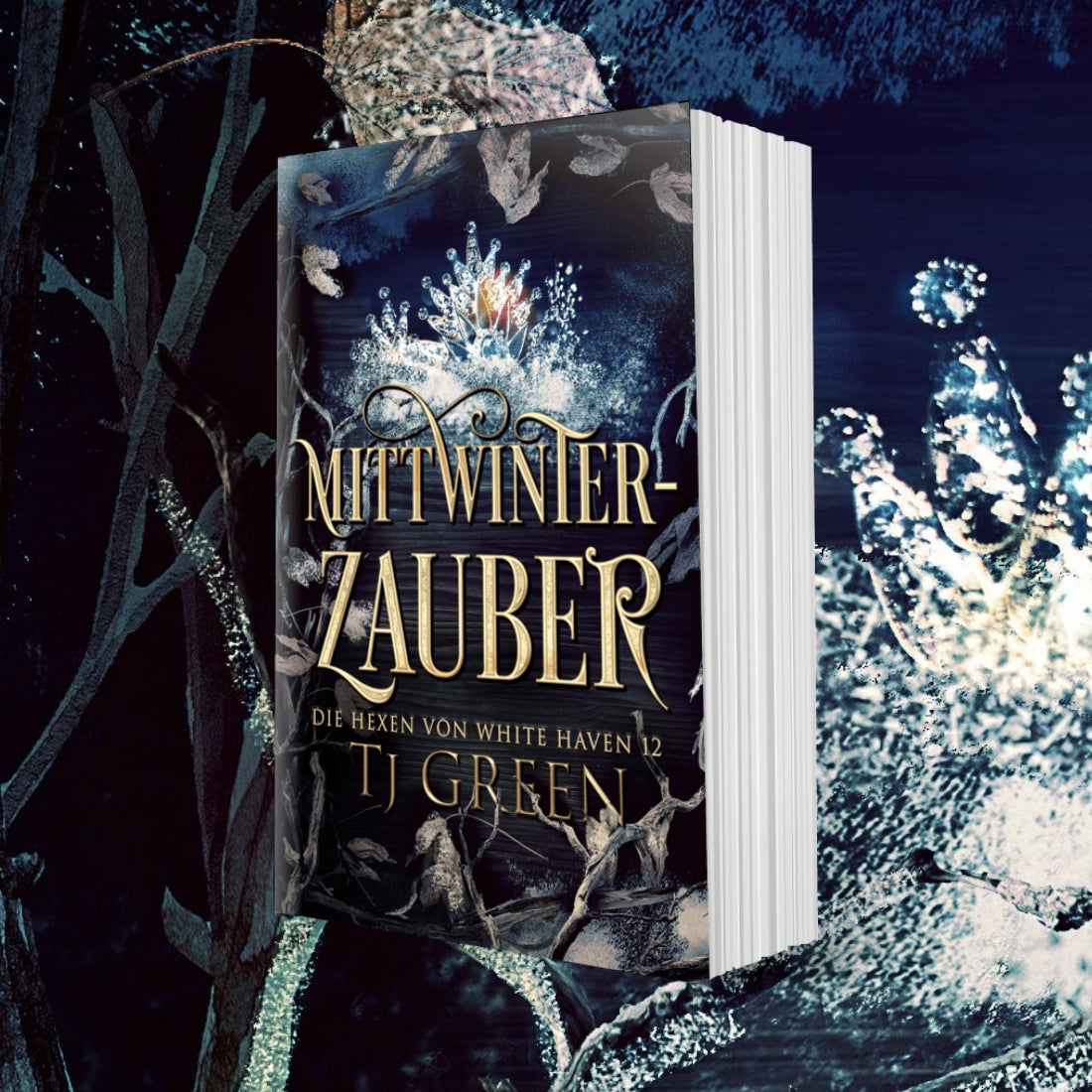 Book titled 'Nachtwinter-Zauber' with a fantasy cover against a mystical background