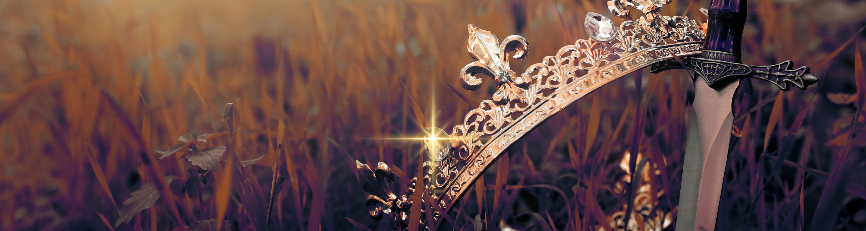 Crown  and sword in a field with sunlight glinting on it. Arthurian myths and legends, young adult fantasy books.